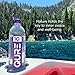 QURE Water, Premium 10 pH Ionized Alkaline Bottled Water, Silky Smooth Taste Infused with Electrolytes, 33.8 Fl Oz (Pack of 12)
