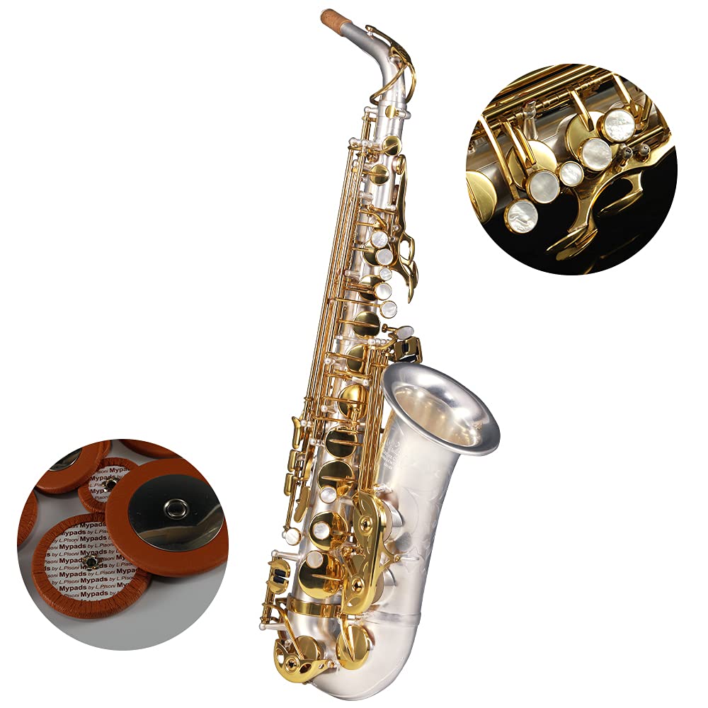 Rollins Saxophone alto RSA-X9,E flat Selmer 54-Key,Matière laiton,or+Argent