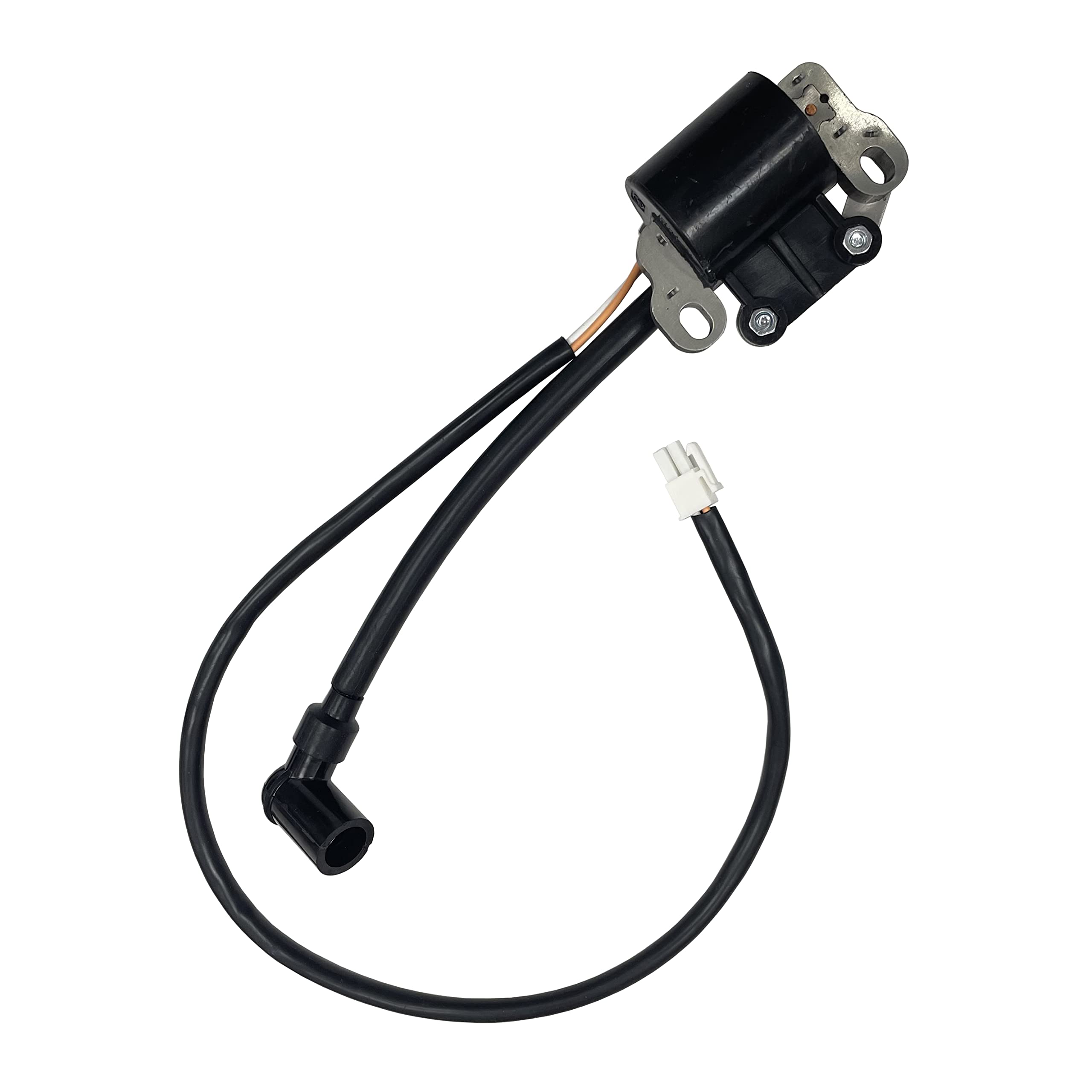Amazon.com: POWER PRODUCTS Ignition Coil and Ignition Control