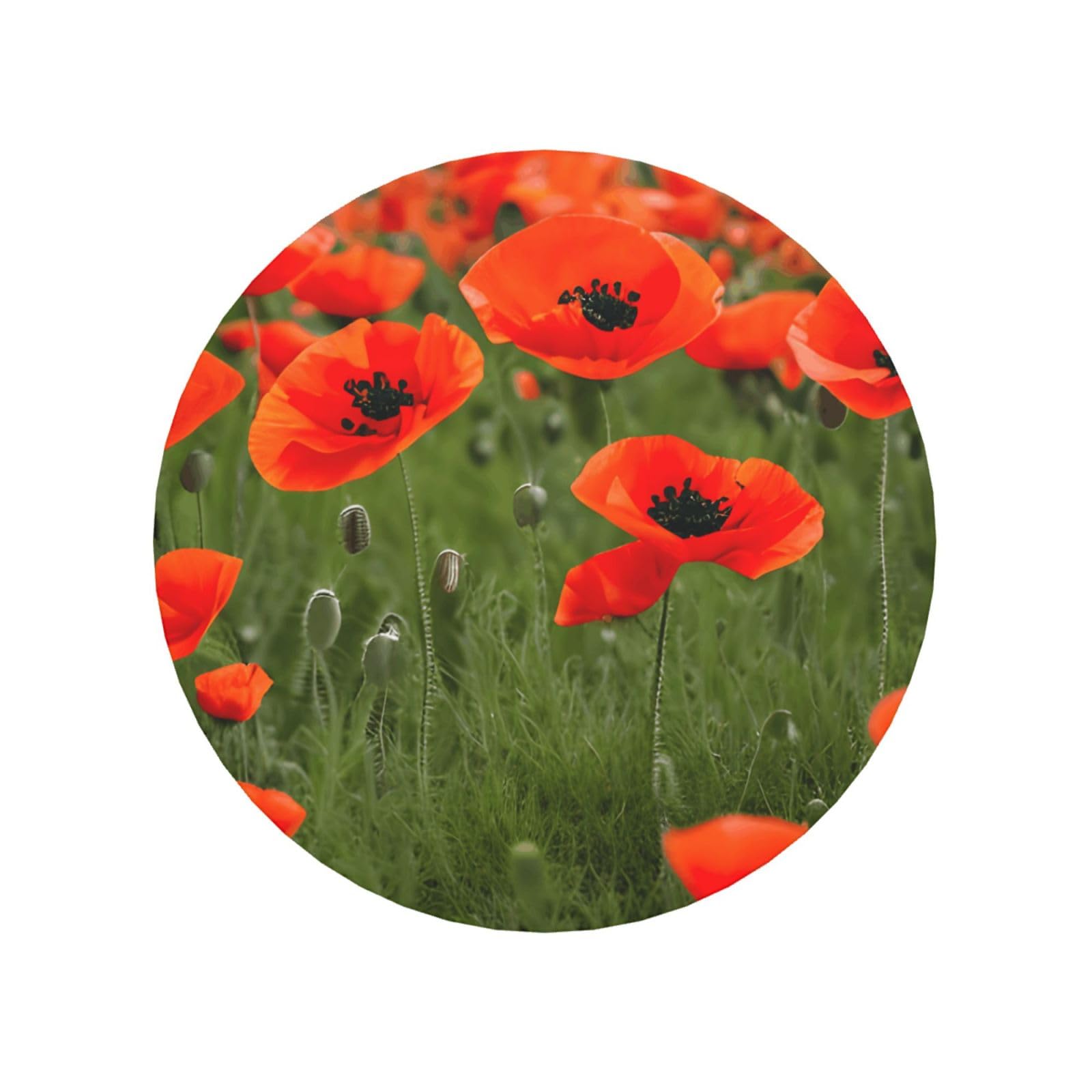 Poppy Flowers Petals Print Refrigerator Magnet,Magnets For Refrigerator Decoration, Kitchen, Office, Wall