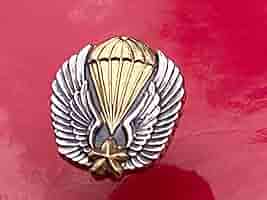 空挺レンジャー　日の丸　徽章　砂漠仕様　　　ジプチ　パッチ 空挺レンジャー日の丸徽章砂漠仕様ジプチパッチ