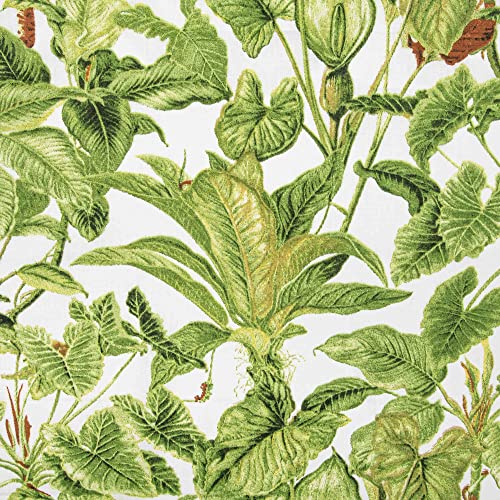 PINSOLA Bettwäschestoff | 100% Baumwolle | Meterware Baumwollstoff | Baumwollbettwäsche| Modische Muster Stoff | Breite 220 cm | 1 Stuck = 0,5 m | Dschungel Cover