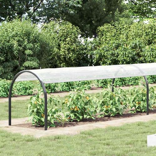 Bâche transparente 1 x 8 m extérieure imperméable pour abriter la voiture