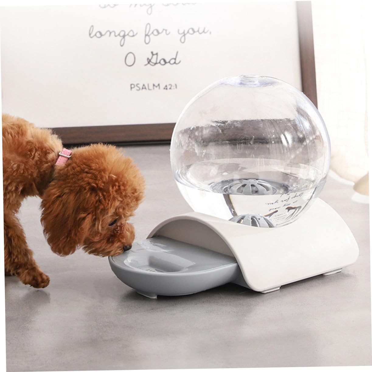 SOIMISS Bebedero Automático para Mascotas Transparente, Funcional Sifón Antigoteo, Material Abs Acrílico, Capacidad Grande, Desmontable y Fácil de Limpiar, para Hogar y Exterior, Adecuado