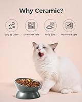 Vista 5 de LoeJan Elevated Cat Food Bowl, 5 Oz Ceramic Raised and Tilted Water Bowl, Anti Vomiting and Protect Pets' Spines Dishes for Small Dog, Fat Faced