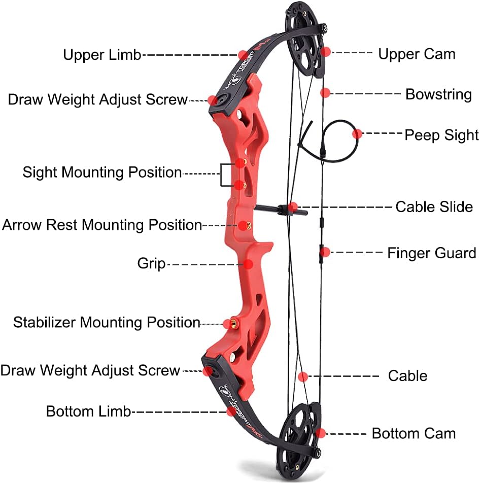 Youth Compound Bow Set for Beginner Archery Target Exercise Draw Weight 10-30Lbs