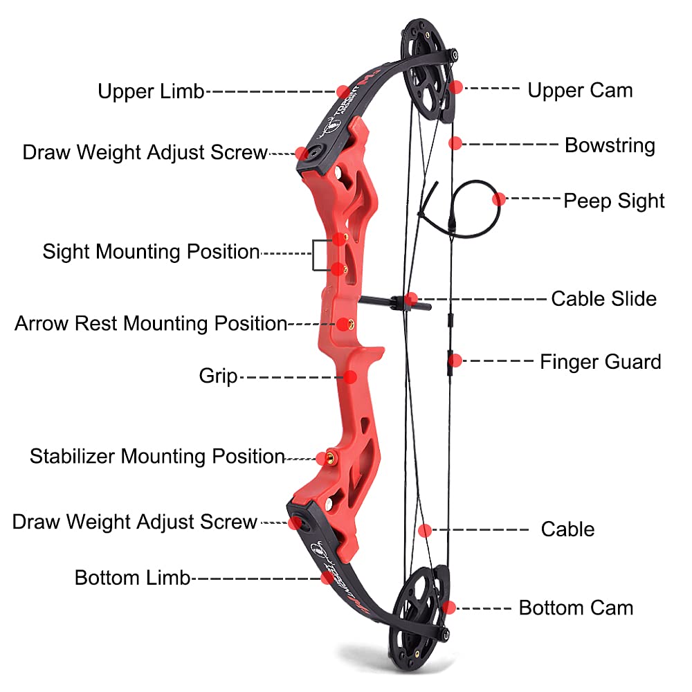 26"arco compound giovanile 10-30lbs regolabile arco da caccia junior e set di frecce 17"-27"lunghezza di tiro per i giovani e bambini tiro con l'arco di destinazione