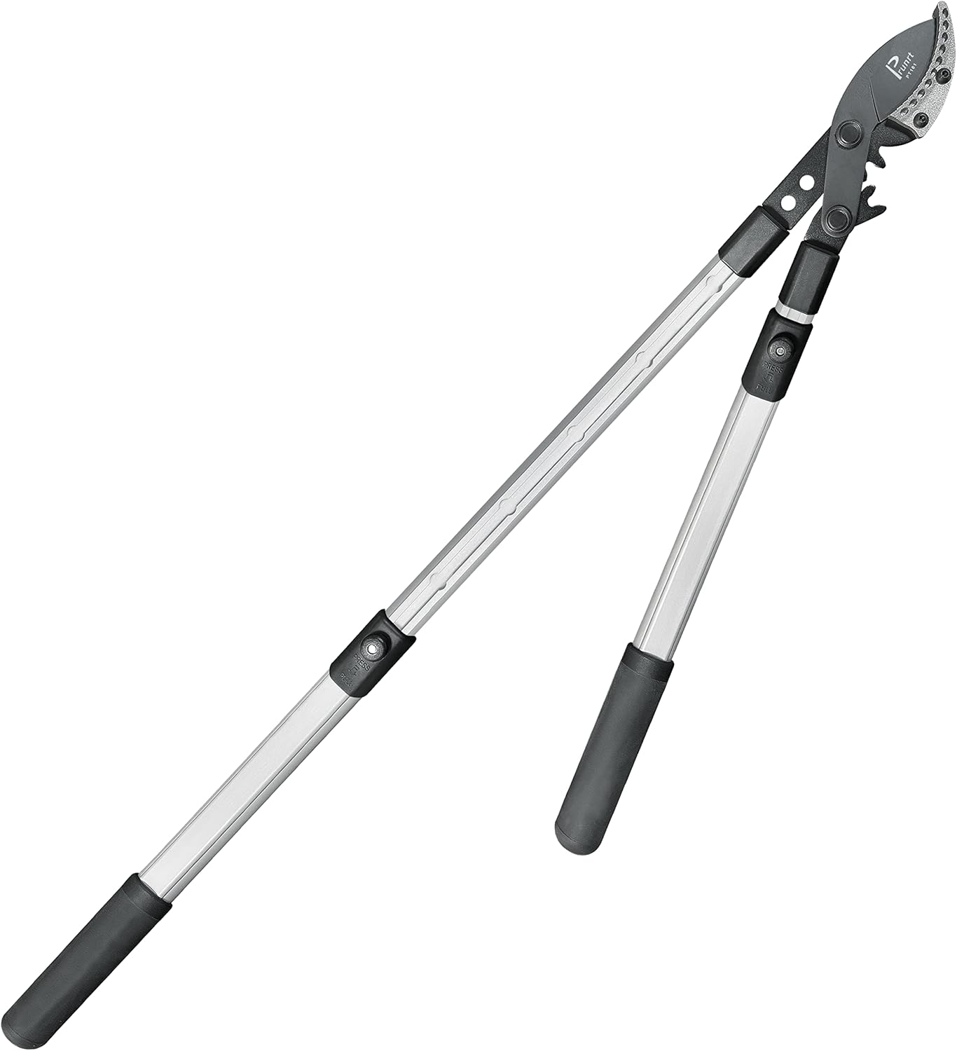 Prunrt 2641 Inch Extendable Bypass Loppers, Sync Drive