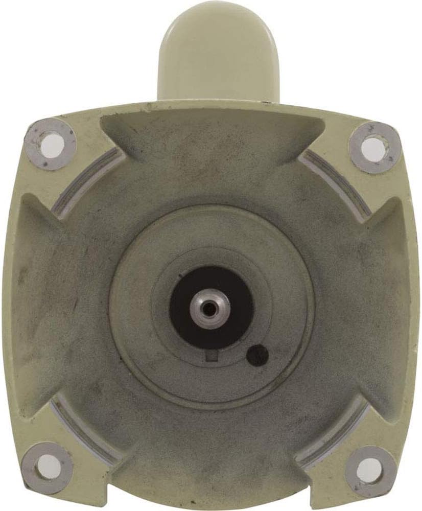 Davant view of the motor, showing the shaft and mounting bolt holes. This end connects to the pump housing.