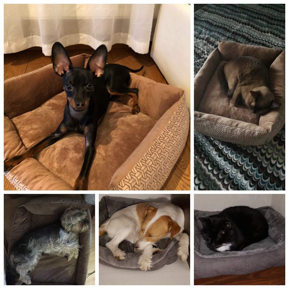 Sofá cama para perros SOCHII para perros grandes y pequeños, medianos y grandes, banco, tumbona para gatos, cachorros, perrera y perrera