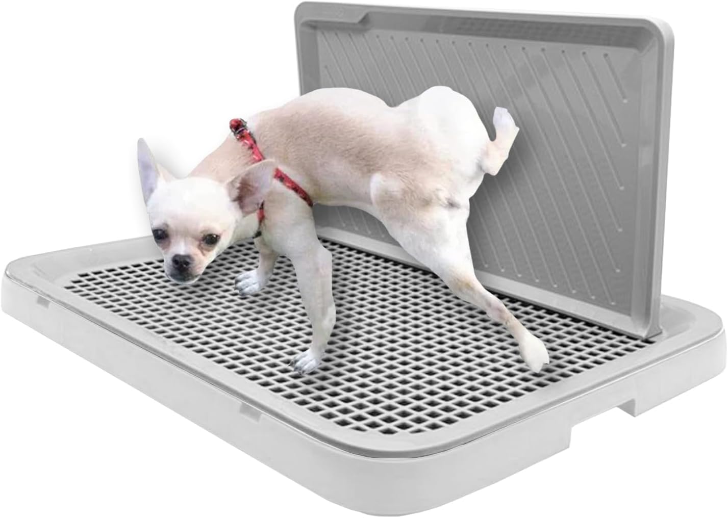 Hamiledyi Bandeja para orinal para perros con bandeja de pared para orinar reutilizable, soporte para almohadillas de entrenamiento de cachorros,