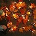 GIAGY Fall Decor,Fall Garland,Thanksgiving Decor,Christmas Decor Lighted Fall Wreath Halloween String Lights [ 14.7 Feet &40 Lights ]