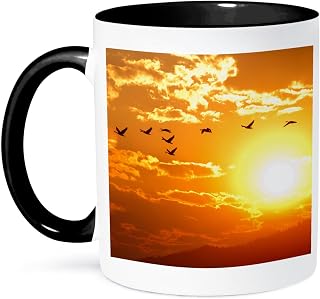 3dRose A flock of geese fly at sunrise in Boise, Idaho, USA. 11oz Two-Tone Black Mug