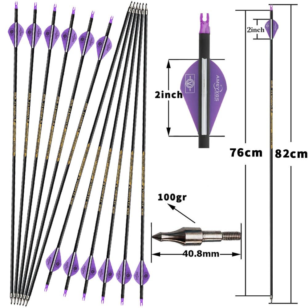 Set Arco Compound 35-70lbs regolabile Arco da tiro Arco da caccia Archi compound per adulti principianti Kit arco compound per Destrorso Arco da tiro con frecce