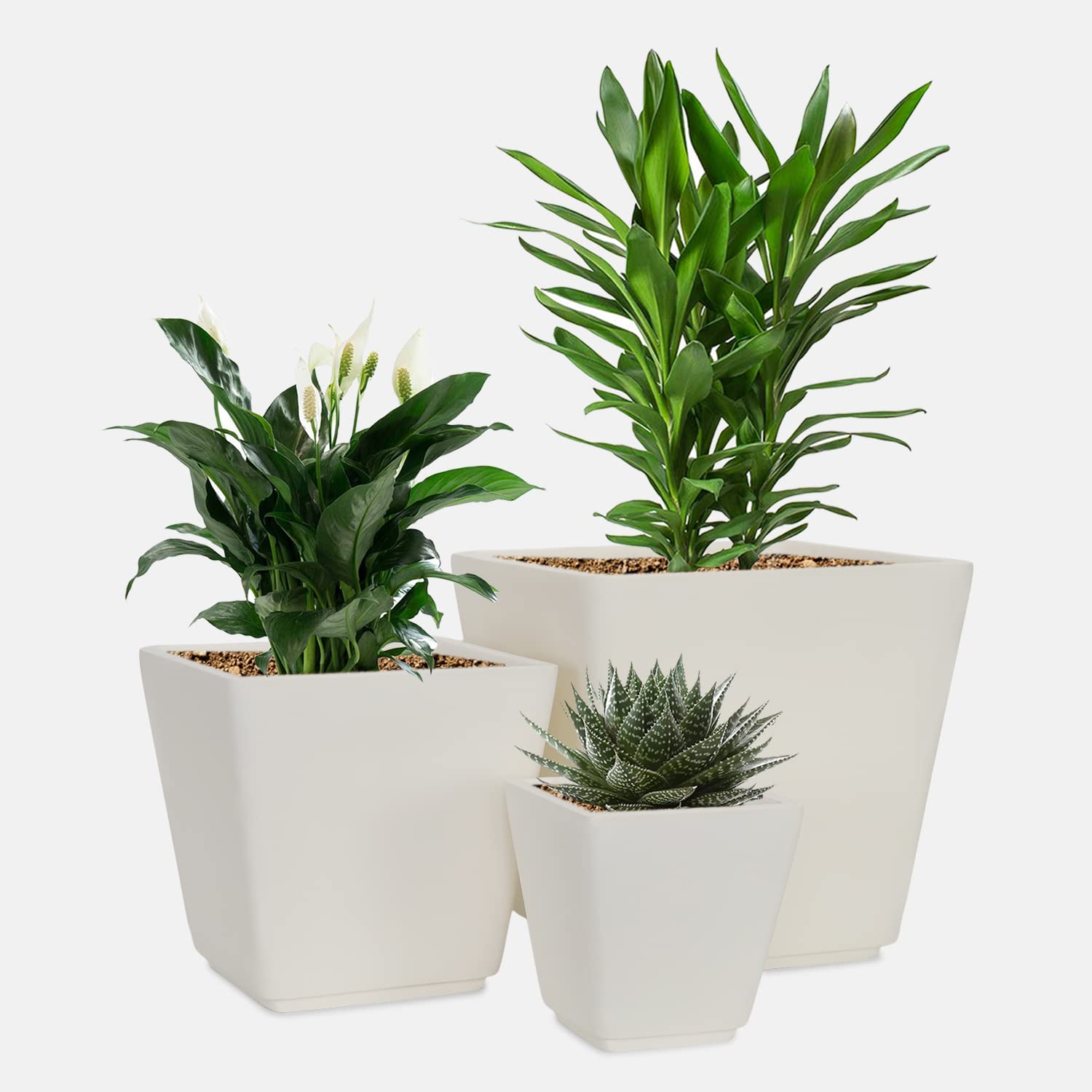 YUCCABE ITALIA GK Cluster Planters (7 Inches, 10 Inches & 12 Inches