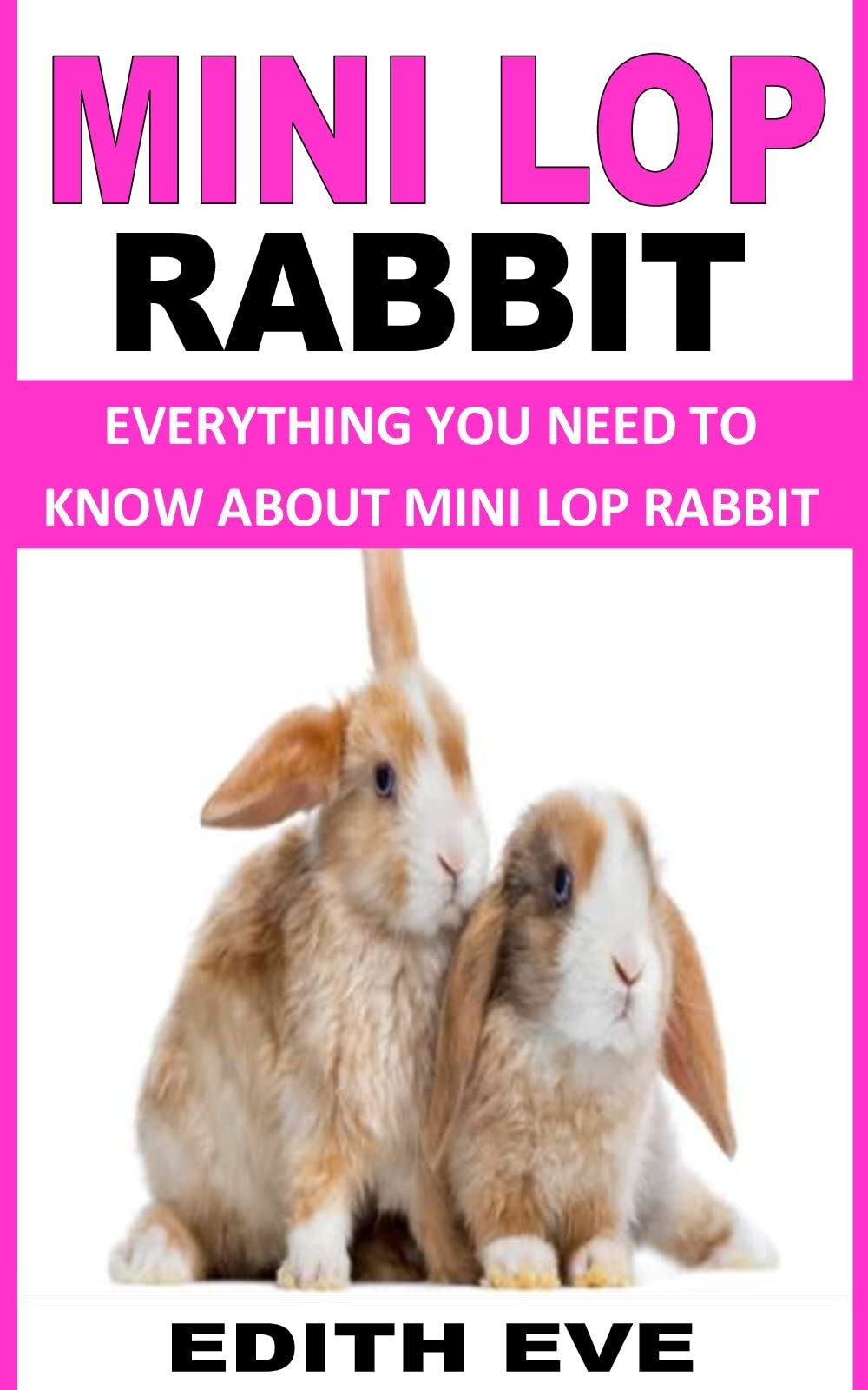 Buy MINI LOP RABBIT EVERYTHING YOU NEED TO KNOW ABOUT MINI LOP RABBIT