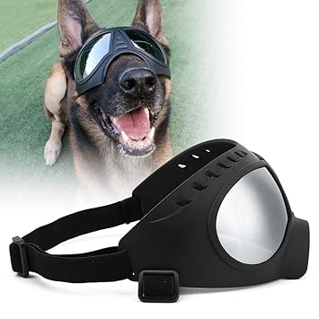 Waterproof Black Windproof Fashion Windproof Goggles, Dog Sunglasses, Dog Sunglasses Dog Face Shield for Sunglasses(Black, One Size)