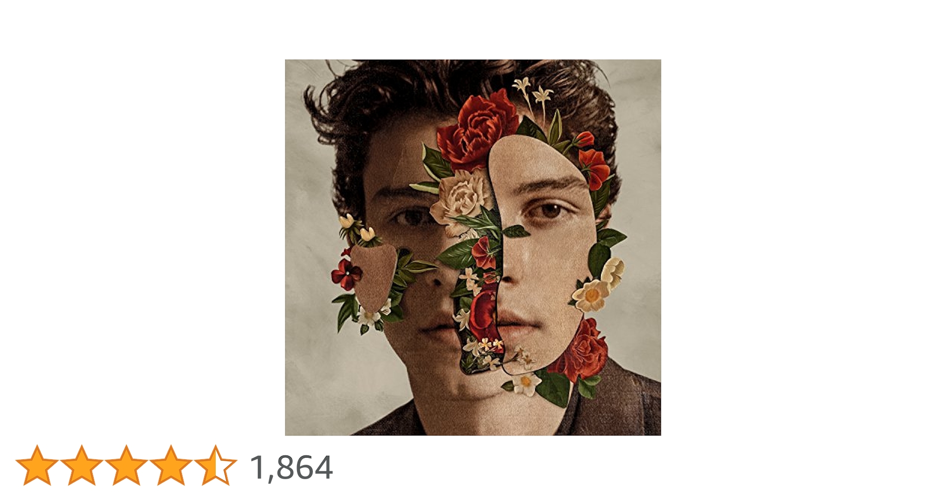セール中…ショーン・メンデス直筆サイン入り超 大型写真…Shawn Mendes ショーン・メンデス直筆サイン入り超 大型写真…Shawn Mendes