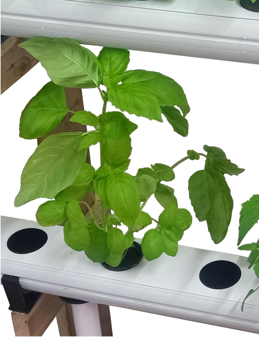 Kit Cultivo hidropónico Vertical de Pared 220V