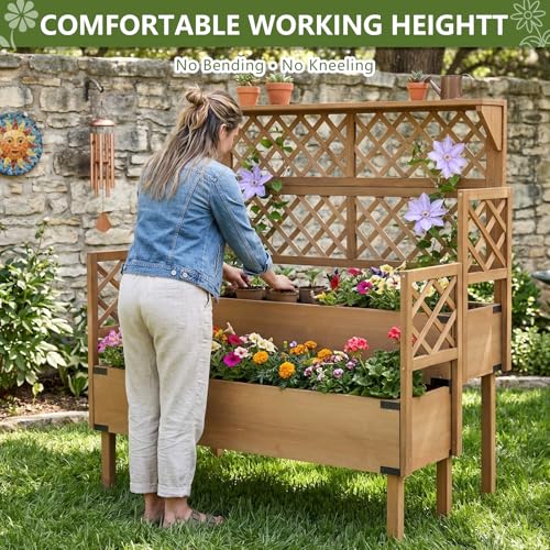 Image of Raised Garden Bed with Trellis, 2-Tier Elevated Planter Box, Wooden Outdoor Planter for Vegetables Herbs Flowers, Lattice Back for Climbing Plants, Modern Minimal Design for Patio Balcony Backyard