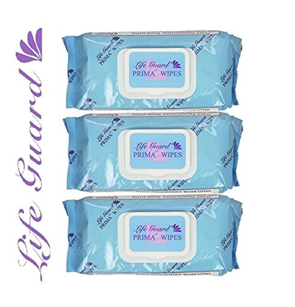 Wipes Adult Washcloths, 48 Extra-large Wipes Per Pack (3 Packs)
