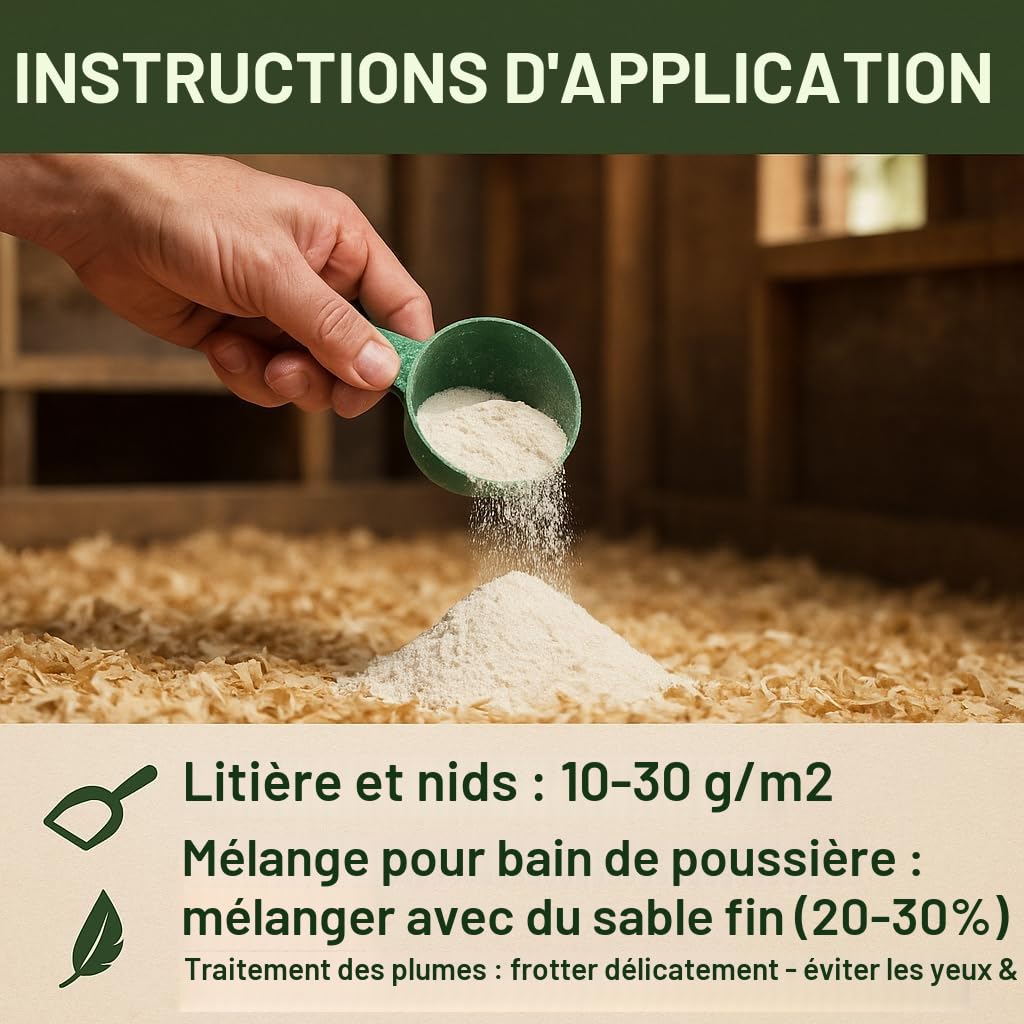 GiDeli Terre de diatomée pour poulets et jardin - Poudre de silicate amorphe à base d'algues fossiles - Haute absorption, comme additif de litière et pour le bain de sable - 5 kg