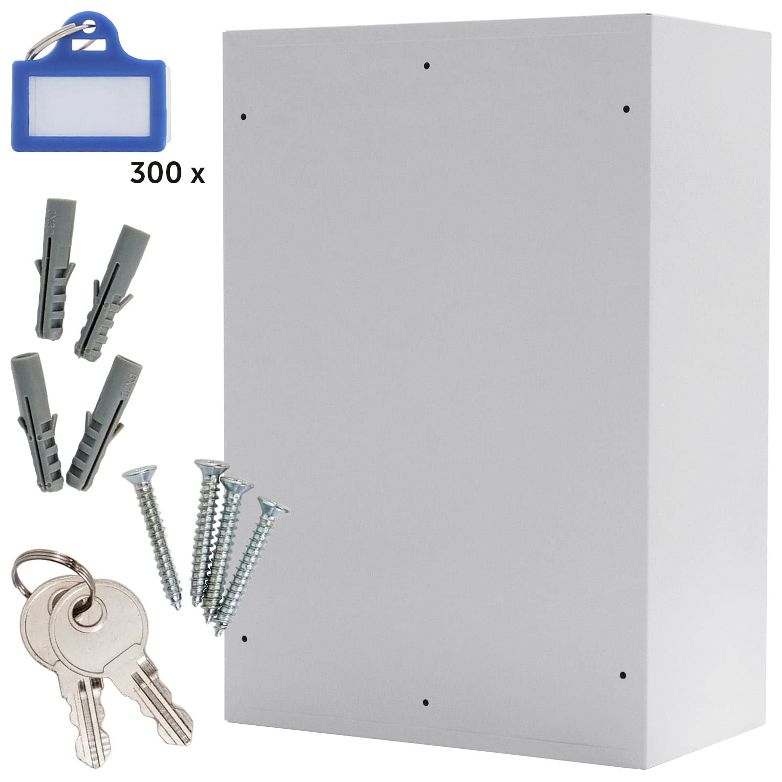 Caja fuerte para 300 llaves S300 EL de Rottner, con cerradura electrónica, Color gris claro, Capacidad para 300 llaves, suministrada con llaveros y kit de fijación.
