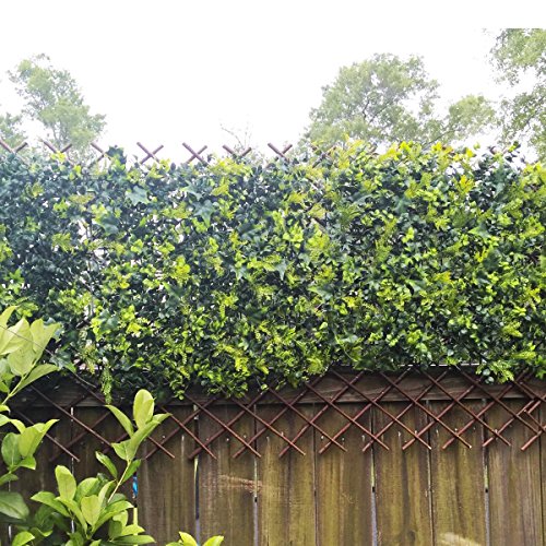 Landgarden Expandable Garden Trellis Plant Support Willow Lattice Fence Panel For Climbing Plants Vine Ivy Rose Cucumbers Clematis #TOP5