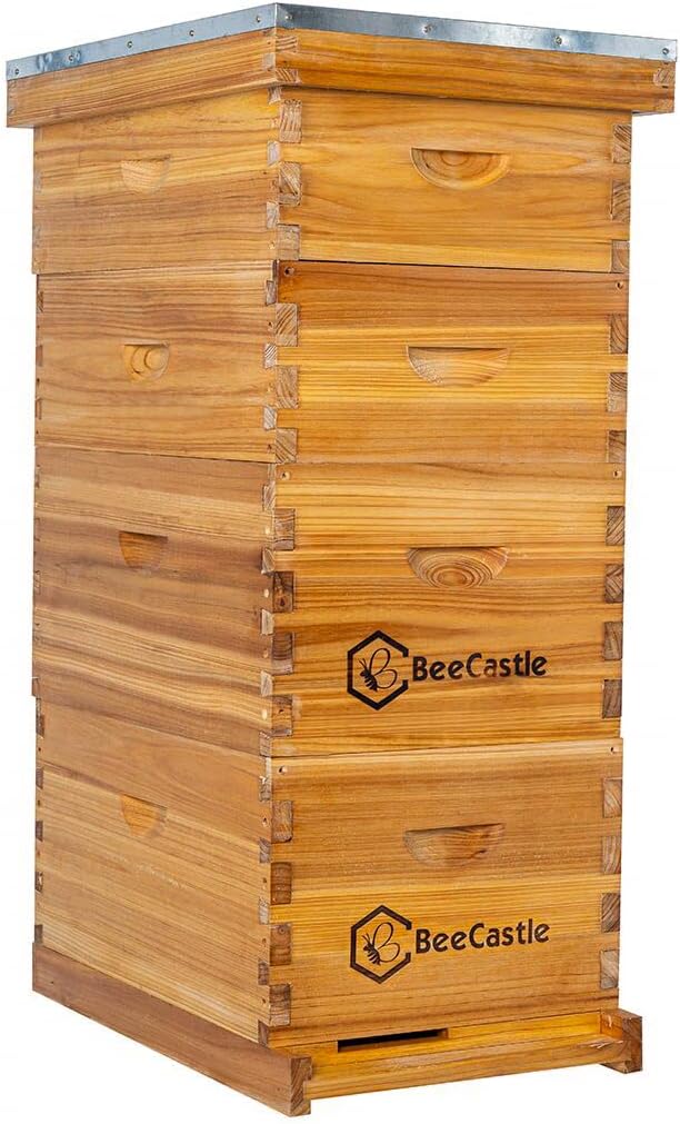 8 Frame Langstroth Bee Hive Coated with Beeswax Includes Beehive Frames and Waxed Foundations (2 Deep Boxes & 2 Medium Boxes)
