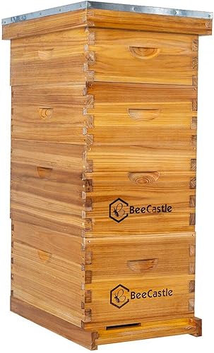 BeeCastle Colmena de abejas Langstroth de 8 marcos recubierta con 100% cera de abeja, incluye marcos de colmena y bases enceradas (2 cajas profundas