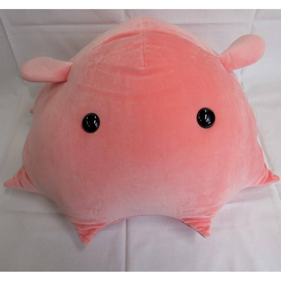 メンダコ出品 61YJKOG5r-L._UF894,1000_QL80_.jpg