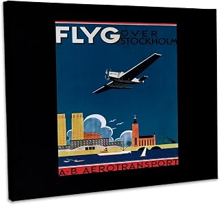 3dRose, Flying Over Stockholm AB Aerotransport with Airplane Flying Over, Museum Grade Canvas Wrap 10x8