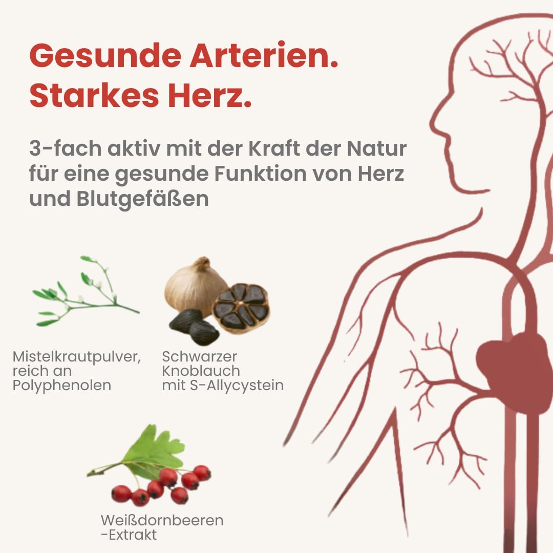 Alsiroyal Schwarzer Knoblauch · hochdosiert 22.500 mg pro Tag mit S-Allylcystein · 45:1 Extrakt · 3-fach-Formel schwarzer Knoblauch, Mistel, Weißdorn · vegan, ohne Zusatzstoffe