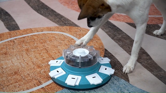 Tealover Hundekissen Mit Griffen – Interaktiv, Für Training & Apportierspiele, Robust