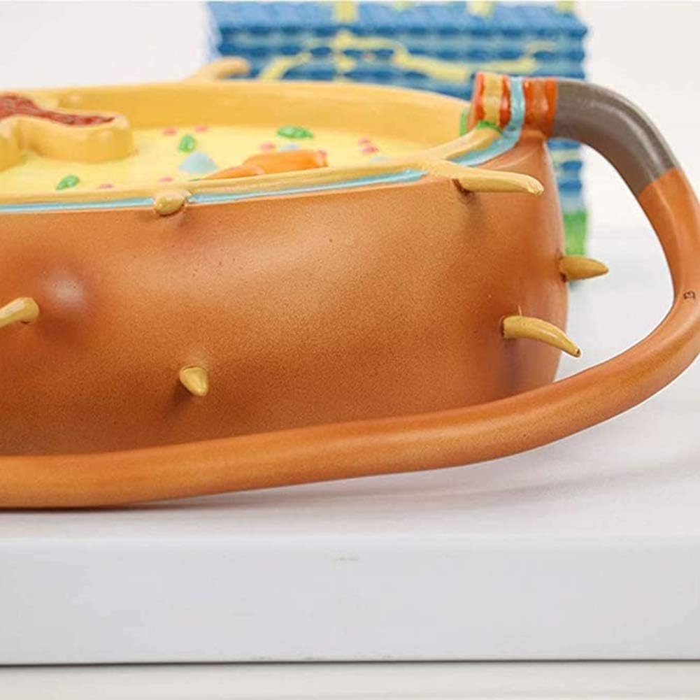 Modello di anatomia cellulare batterica per addestramento medico, cromosoma nucleare biologico e strumento educativo Flagellum, ideale per uso in classe e studio
