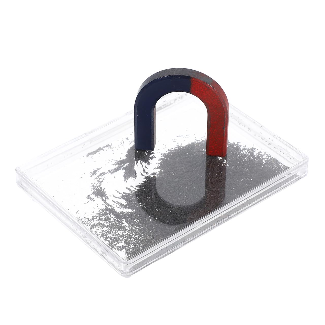 Attrezzature di laboratorio di fisica Dimostratore magnetico Ferroso Set per esperimenti scientifici