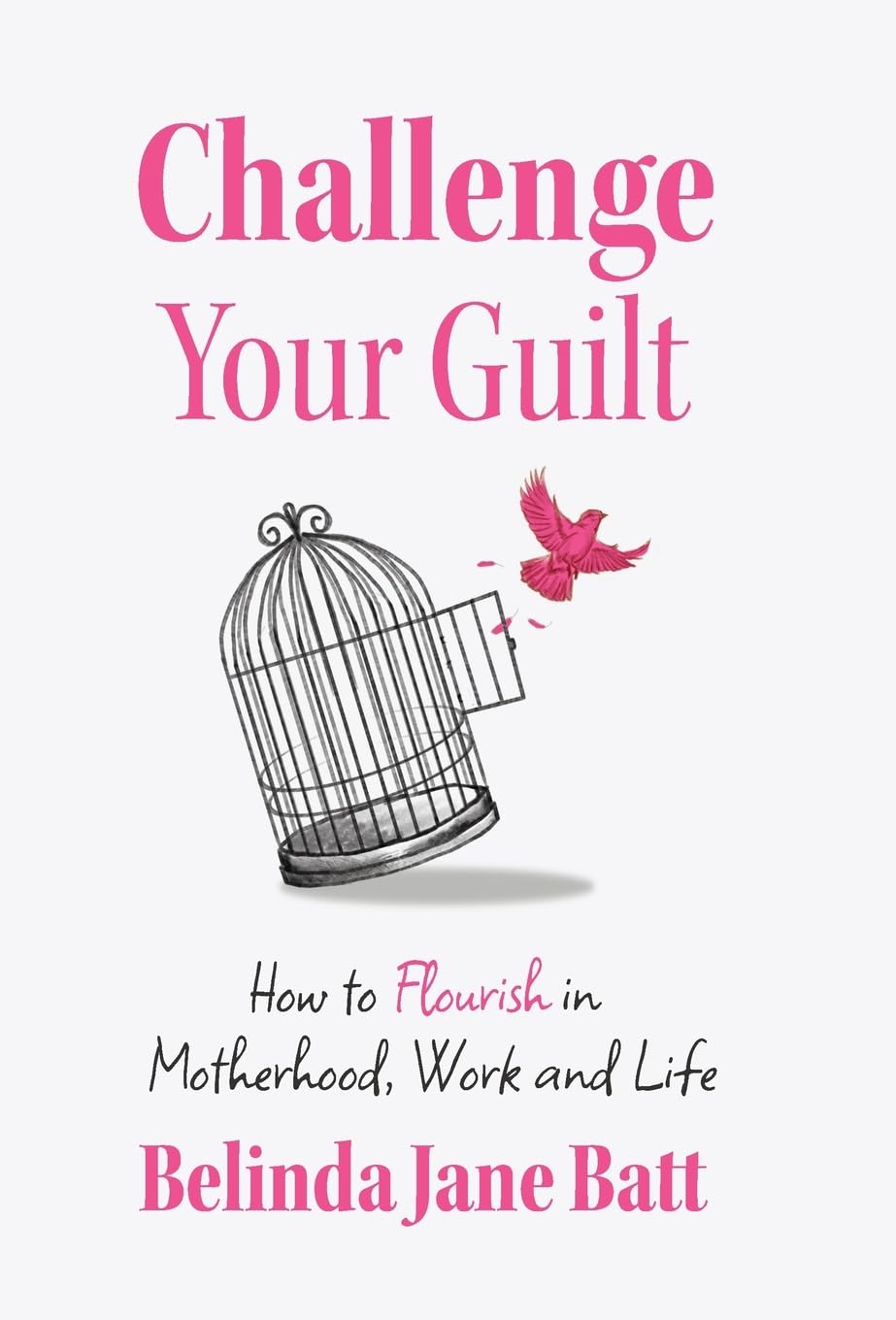 Challenge Your Guilt: How to Flourish in Motherhood, Work and Life