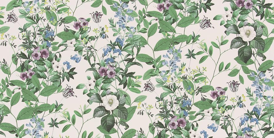 らいき s-l1200.jpg