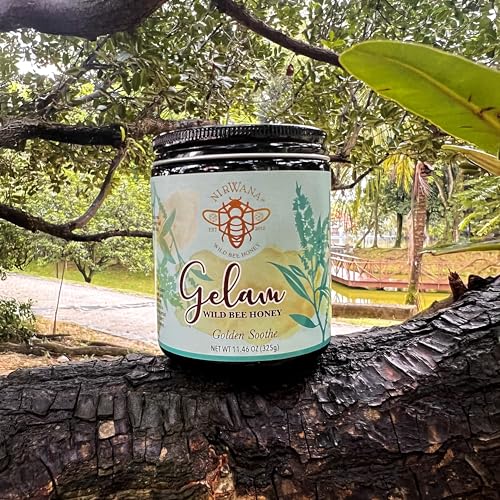 Image of Golden Soothe by Nirwana - Pure Wild Bee Gelam Honey from Malaysian Rainforest, 325 g Glass Jar