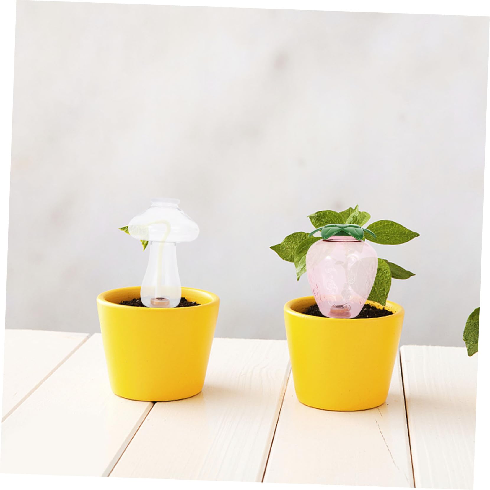 TOYANDONA 3 Ensembles Arrosage Automatique des Fleurs -À- Dispositif D'Arrosage Automatique pour Plantes De Jardin Et D'Intérieur Système D'Arrosage 2 pièces * 3