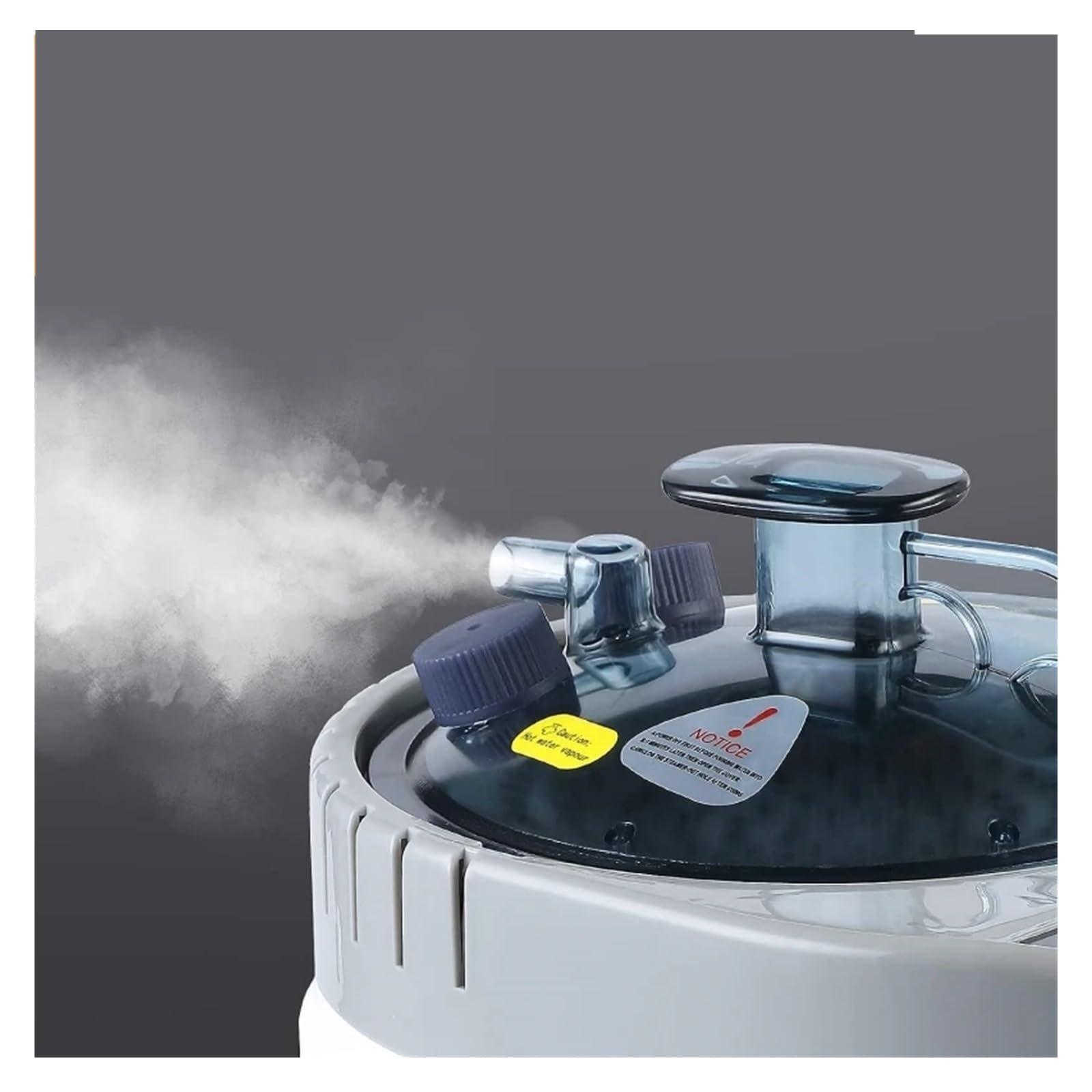 Generatore di vapore per doccia, Generatore di sauna, pentola a e, nuovo stile for la terapia SPA domestica for il riscaldamento per il bagno