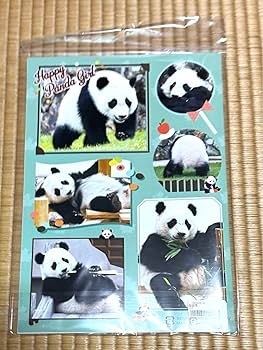 アドベンチャーワールド　パンダ　楓浜　ファミリー アドベンチャーワールド 公式 | . 6月21日(211日齢)の