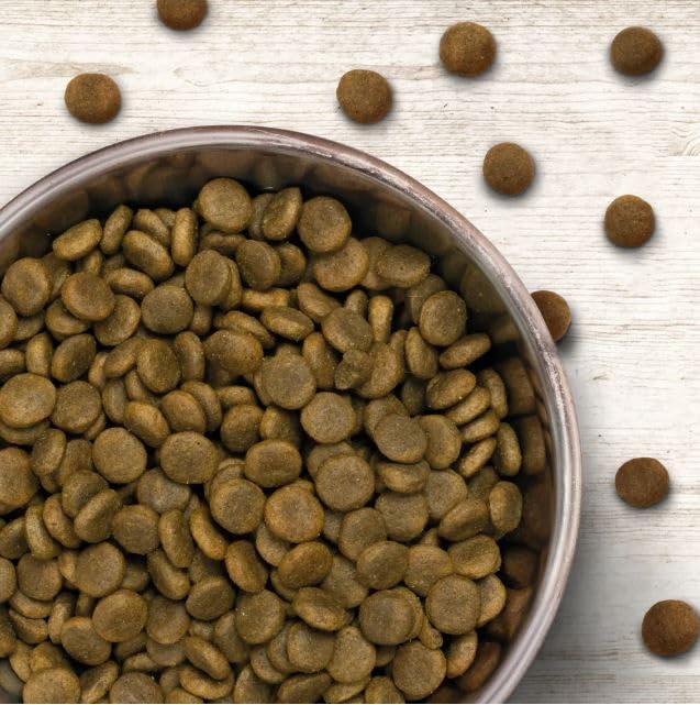 Wildborn Active Highlands 1 x 12 kg Hundefutter für aktive Hunde, getreidefrei mit 92% tierischem Eiweiß* | sensitives Hundefutter für aktive Hunde Made in Germany