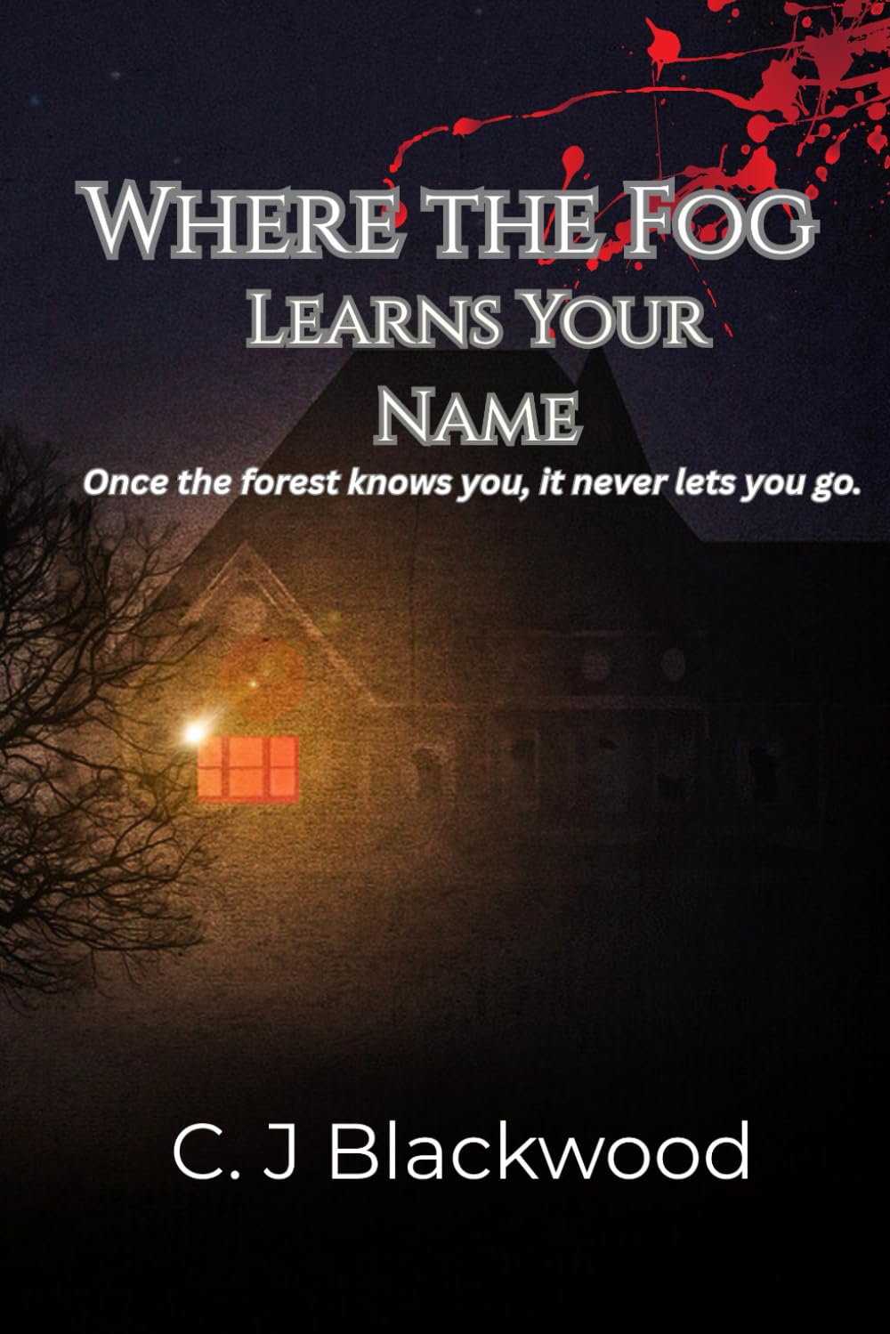 Where the Fog Learns Your Name: Once the forest knows you, it never lets you go