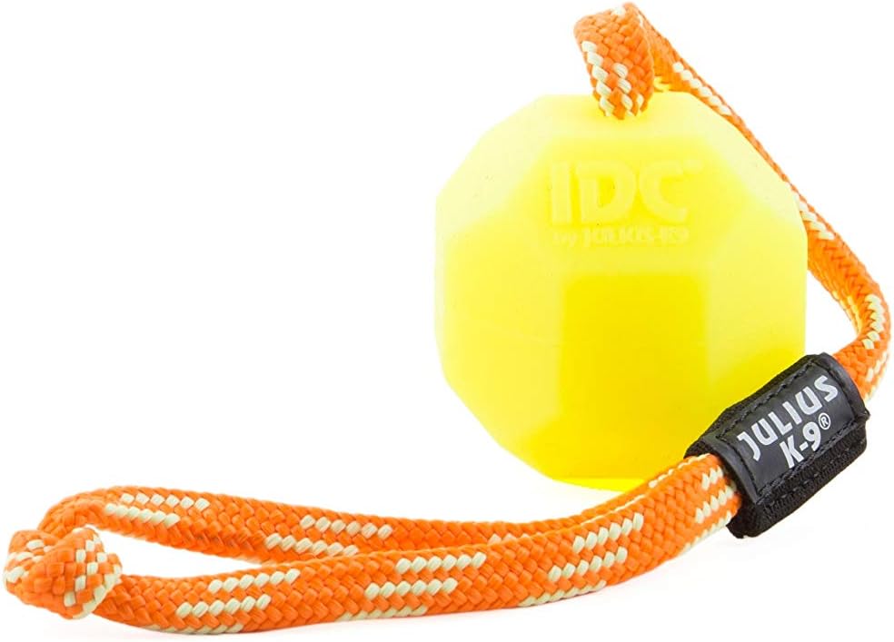 Julius-K9IDC Neon Fluorescent Ball with String, 60 mm, Neon - Hard version