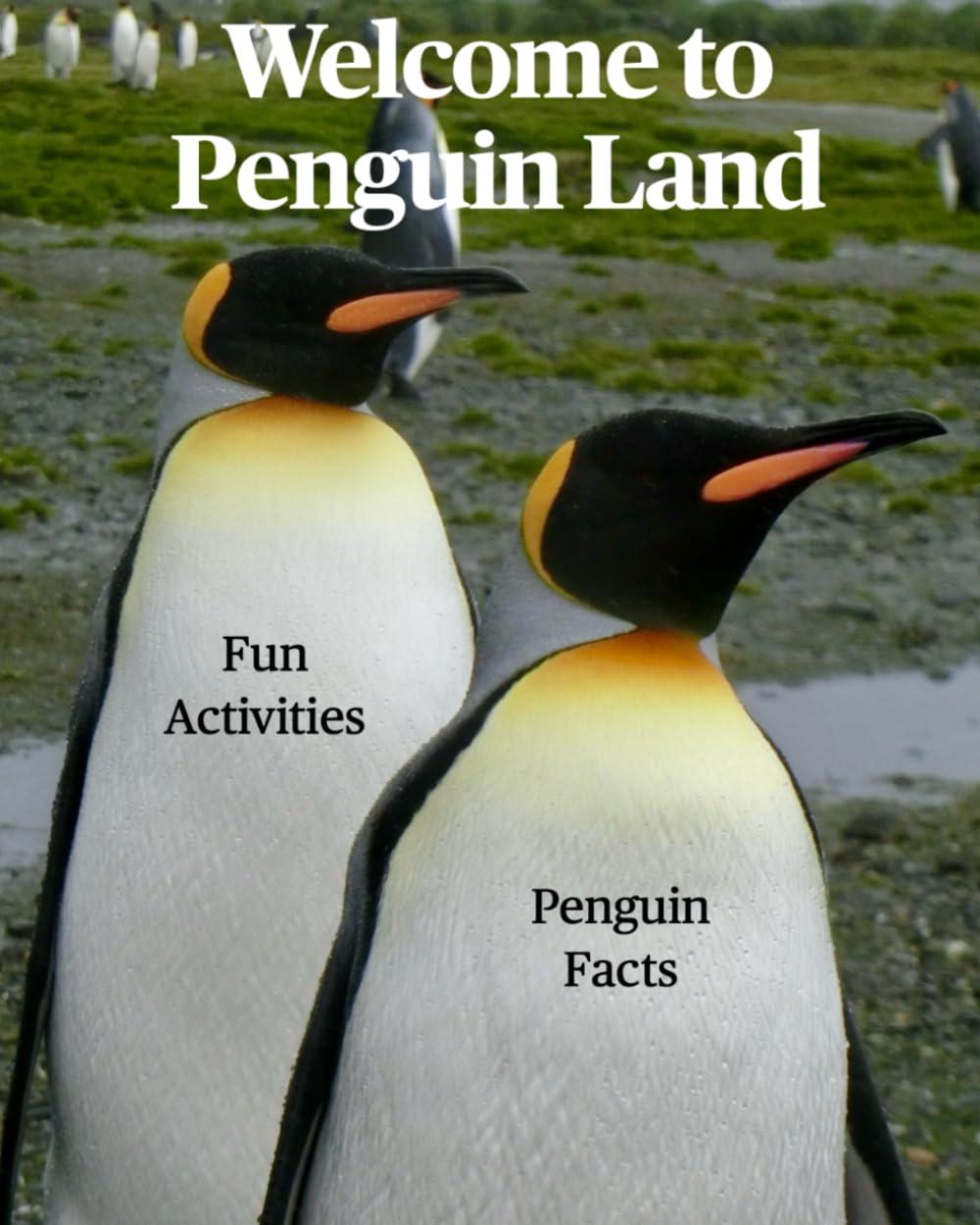 Welcome to Penguin Land: Fun Activities and Penguin Facts