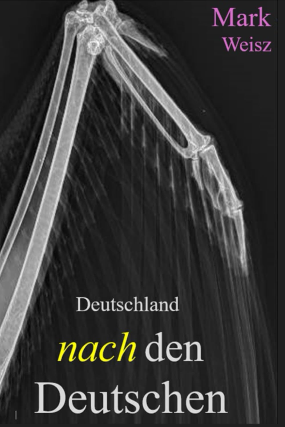 Deutschland nach den Deutschen: Eine Lehrstunde für Almans/Die Hinrichtung einer Ideologie