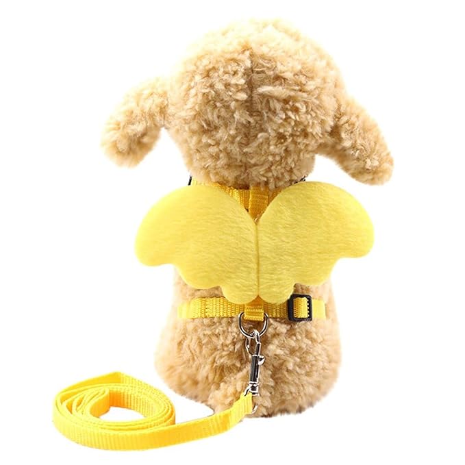 best cat leash amazon