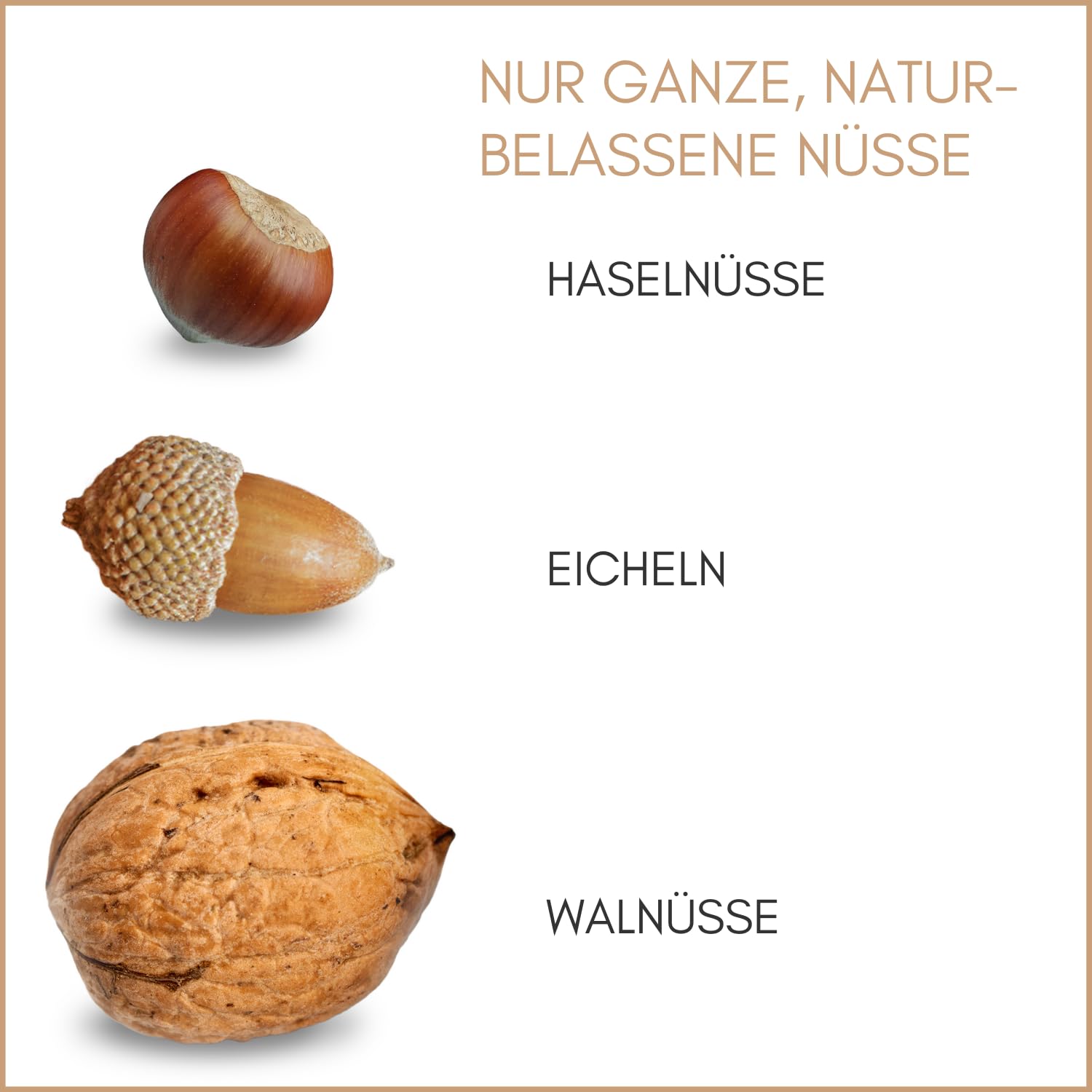 Supravit Frische Nüsse-Mix Eichhörnchen Futter 1kg | Futter für Eichhörnchen mit Haselnüsse, Walnüsse mit Schale für Eichhörnchen | Ganzjähriges Eichhörnchenfutter