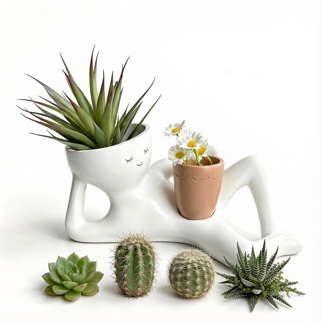 BRTNUP Lazy Guy Planter,Resin Funny Planter, Succulent Pot with Drainage